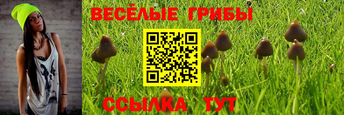 Галлюциногенные грибы ЛСД Старая Русса